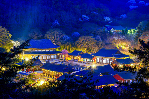 대한불교 조계종 구례 화엄사가 8월30일까지 야간개장과 함께 청년스님들과 함께 하는 '화야몽'을 마련했다.사진=구례화엄사