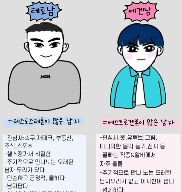 이른바 '테토남'(왼쪽)과 '에겐남'(오른쪽)을 설명하는 일러스트 ⓒ인스타그램 캡처