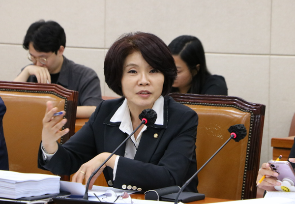 한정애 더불어민주당 정책위 의장. ⓒ한정애 의원실