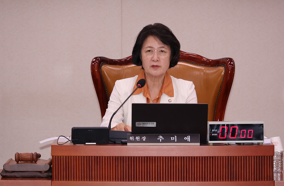 더불어민주당 추미애 의원. ⓒ연합뉴스