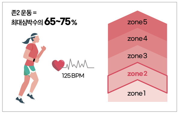김주환 연세대 교수의 책『내면소통 명상수업』 에서 제시된 존2(zone 2) 운동. ⓒ심숙연 디자이너
