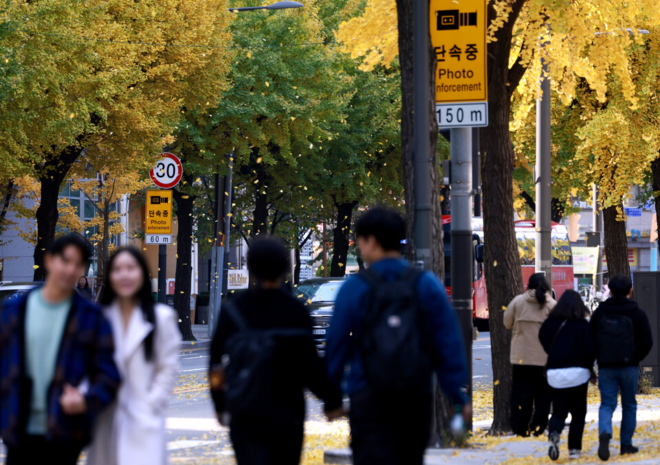 완연한 가을 날씨를 보인 9일 오후 서울 종로구 내자동 일대 은행나무에서 낙엽이 떨어지며 바람에 날리고 있다. ⓒ연합뉴스