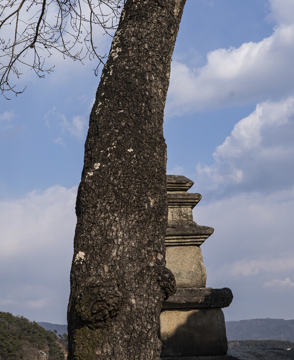 박미례 회장의 작품 ‘겁(劫, kalpa)’. ⓒ박미례