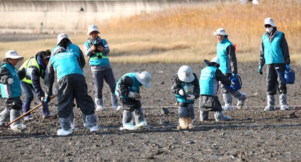 18일 GS칼텍스, 여수YMCA, 한국수산자원공단 자원봉사자들이 여수시 율촌면 반월마을 해역에서 ‘I am your Green Energy’ 염생식물 식재 봉사활동을 진행하고 있다.  ⓒGS칼텍스