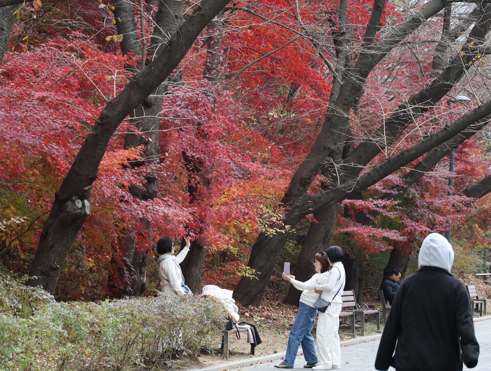 포근한 날씨를 보인 23일 과천 서울대공원에서 나들이객들이 기념 촬영하고 있다. ⓒ연합뉴스