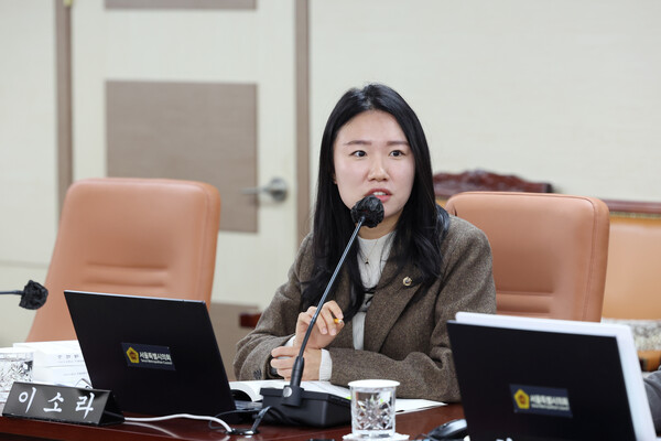 이소라 서울시의회 의원은 24일 열린 제333회 정례회 제9차 교육위원회에서 미디어 리터러시 교육 예산 확대를 촉구했다.ⓒ서울시교육청