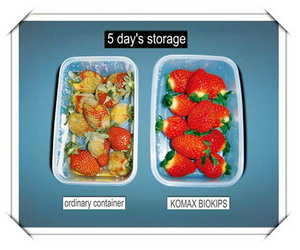 일반 밀폐용기(왼쪽)와 바이오킵스(오른쪽)에 딸기를 담아 5일간 상온 보관 후의 변화. 실험은 한국식품개발원이 진행했다.