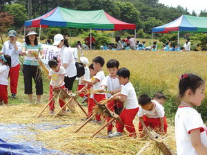 생태유아공동체 ‘얘하밥’ 유치원생들이 ‘꼬마농부학교’에서 농사를 체험하고 있다.