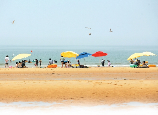 지난 22일 만리포해수욕장을 찾은 피서객들이 해변에서 물놀이를 즐기고 있다.  sumatriptan 100 mg sumatriptan 100 mg sumatriptan 100 mg