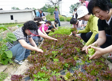 지난 5월 20일 이천 노성산 정거장마을에서 용인 신리초등학교 소속 학부모 30명이 농촌체험 프로그램에 참가했다.