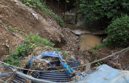 25일 내린 폭우로 엉망이 된 부산 기장군 일광면 문동리 파밭 배수로 ⓒ박유현 기자