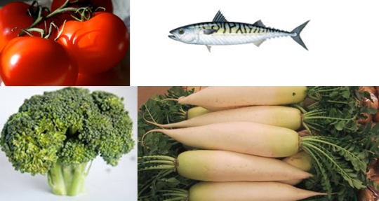 폐 기능 강화에 좋은 4가지 식품(시계 방향으로 토마토, 고등어, 무, 브로콜리) ⓒ위키피디아