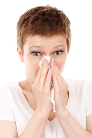 독감주의보가 발령되며 감기와 독감의 구분법이 화제가 되고 있다. 독감과 감기는 비슷한 질환으로 보이지만, 구분법을 알면 조기 치료 및 예방에도 도움이 된다. ⓒpixabay