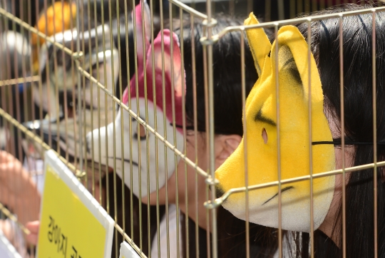 지난 5월 22일 서울 마포구 홍대입구역 앞에서 동물보호단체 회원들이 ‘강아지 공장’ 반대 퍼포먼스를 하고 있다. ⓒ뉴시스·여성신문