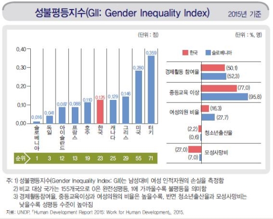 유엔개발계획(UNDP) 성불평등지수 ⓒ국회입법조사처