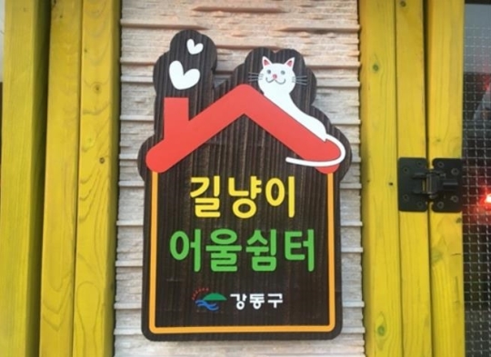 서울 강동구가 구청사 별관 옥상에 마련한 ‘길고양이 어울쉼터’. ⓒ강동구 제공