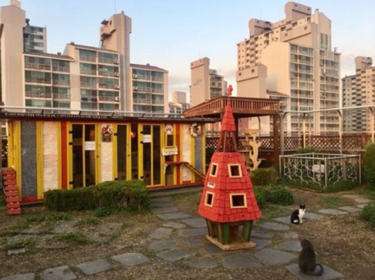 서울 강동구가 구청사 별관 옥상에 마련한 ‘길고양이 어울쉼터’. ⓒ강동구 제공