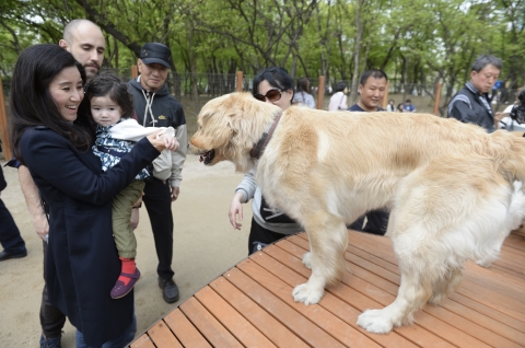 지난해 4월 23일 오후 서울시 동작구 보라매공원 반려견 놀이터에서 시민들이 반려견과 즐거운 시간을 보내고 있다. ⓒ뉴시스·여성신문