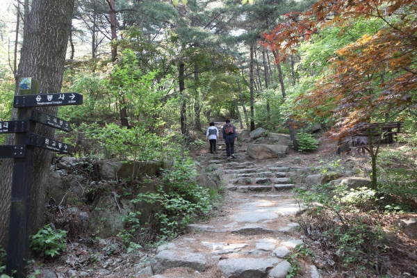 충남 홍성 용봉산자연휴양림 ⓒ한국관광공사 제공
