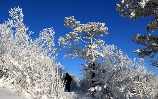 2일인 오늘은 전국이 맑고 포근하겠다. 사진은 맑은 날 겨울 태백산의 풍경. ⓒ뉴시스·여성신문