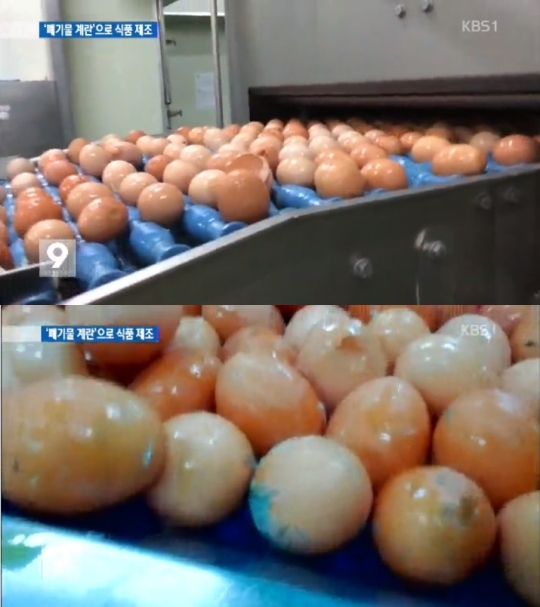 소비자단체들이 이른바 ‘폐기물 계란’을 계기로 신뢰가 깨진 HACCP(해썹) 인증 제도를 전면 재검토할 것을 촉구했다. ⓒKBS 9시 뉴스 캡쳐