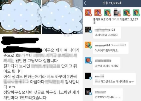 tumblr 여동생 텀블러'에 미성년 여동생 알몸 사진+성관계 알선… '하고싶다 ...