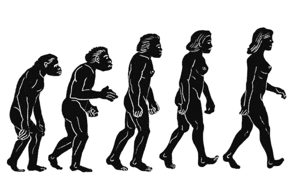 『인류의 기원』 10쇄에 실린 삽화. 인류 진화의 모습이 남성이 아닌 여성으로 묘사했다. 토끼도둑 ⓒ (주)사이언스북스, 2015