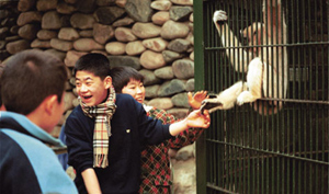 Children at Seoul Grand Park Zoo patting the legs of a long-arm monkey
